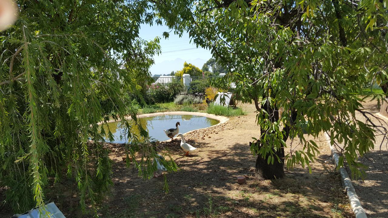Merindol Manor Riebeek-West Eksteriør bilde